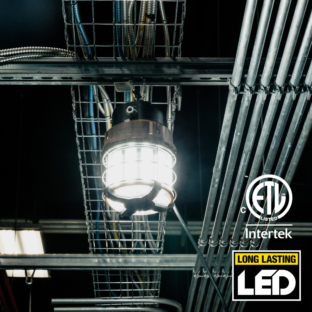Temporary overhead lighting deals