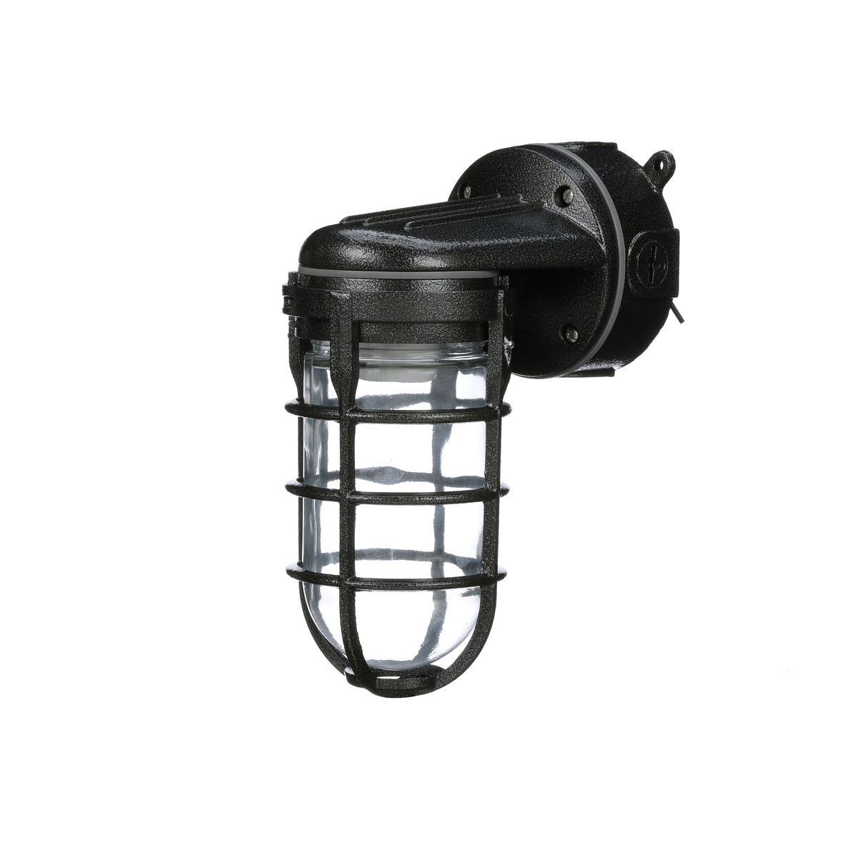 100W Incandescent Aluminum Cage Wall Mount, Hammered Black