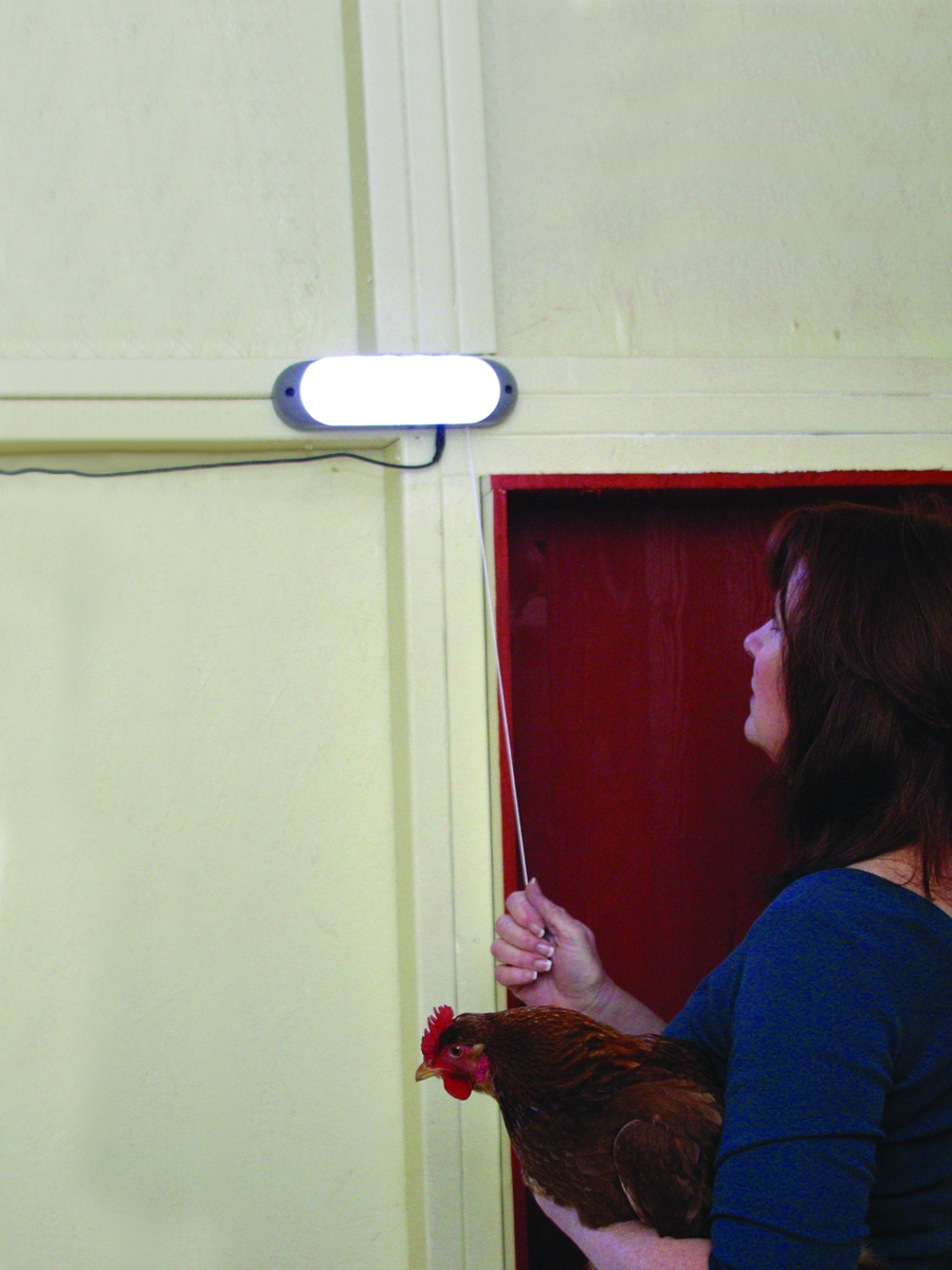 SOLAR POWERED SHED LIGHT