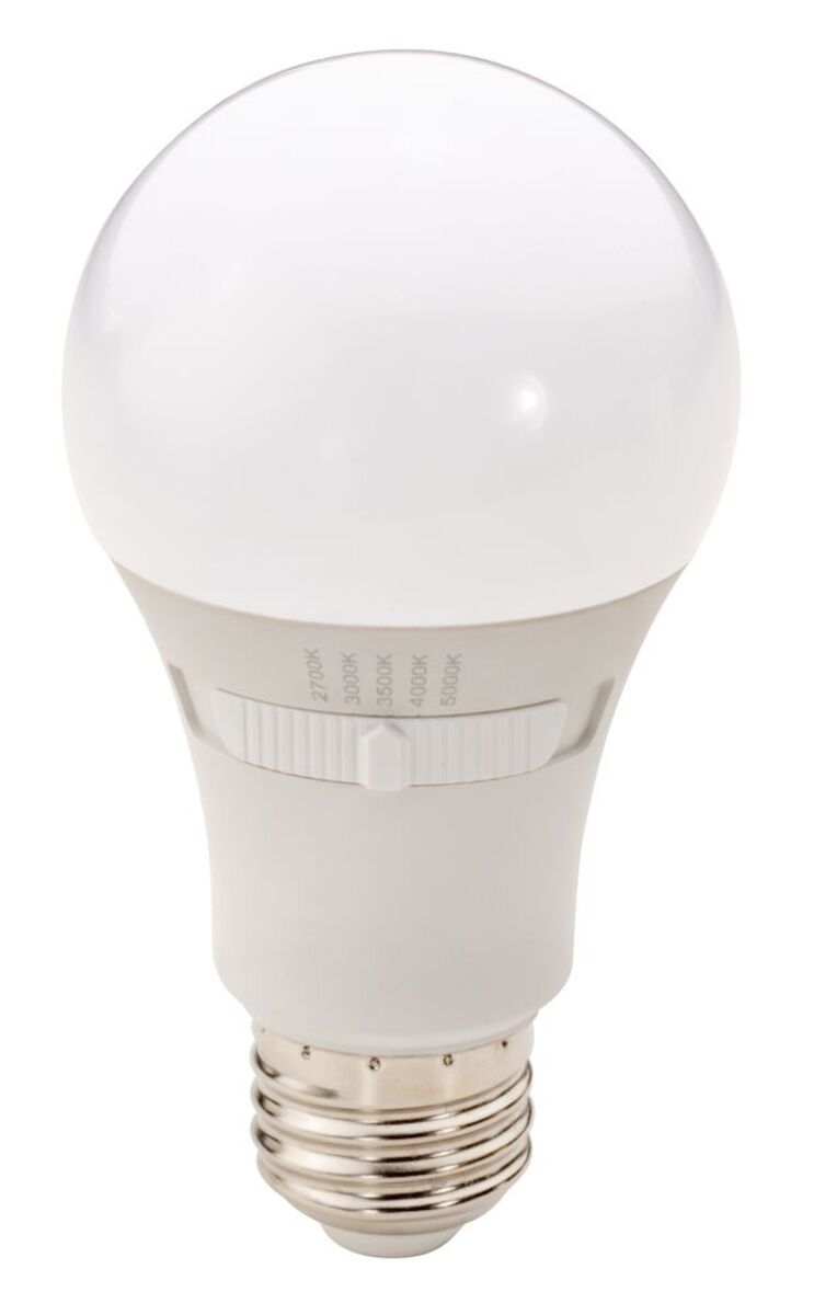 6/24PK 9W(60W) A19 CCT SELECTABLE