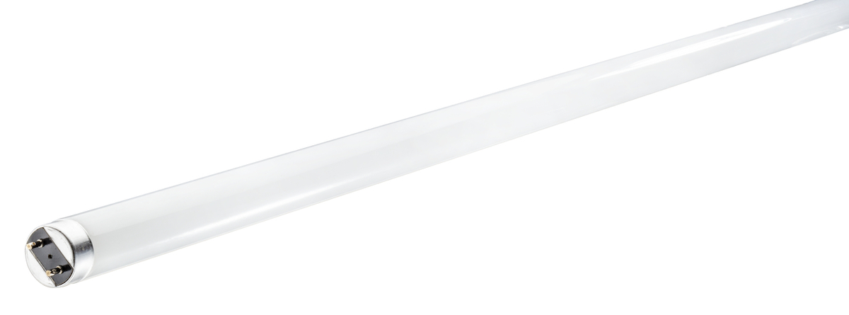 12PK 13W 48" LED T8 FROSTED GLASS 4000K