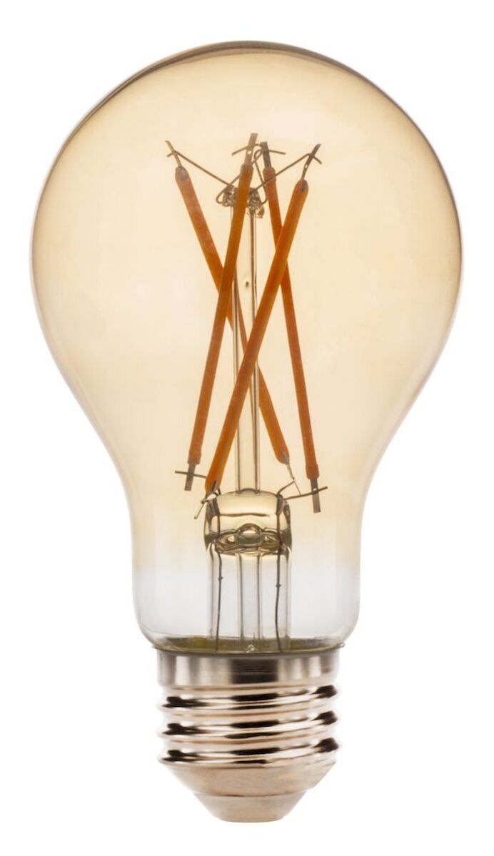 LED A19 Lamp 8W, Antique Amber Filament, 2200K, 80CRI Dimmable