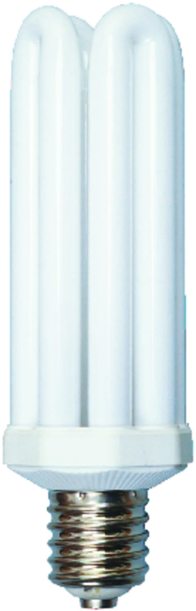 L 765 65 WATT MOGUL BASE 4U LAMP Southwire