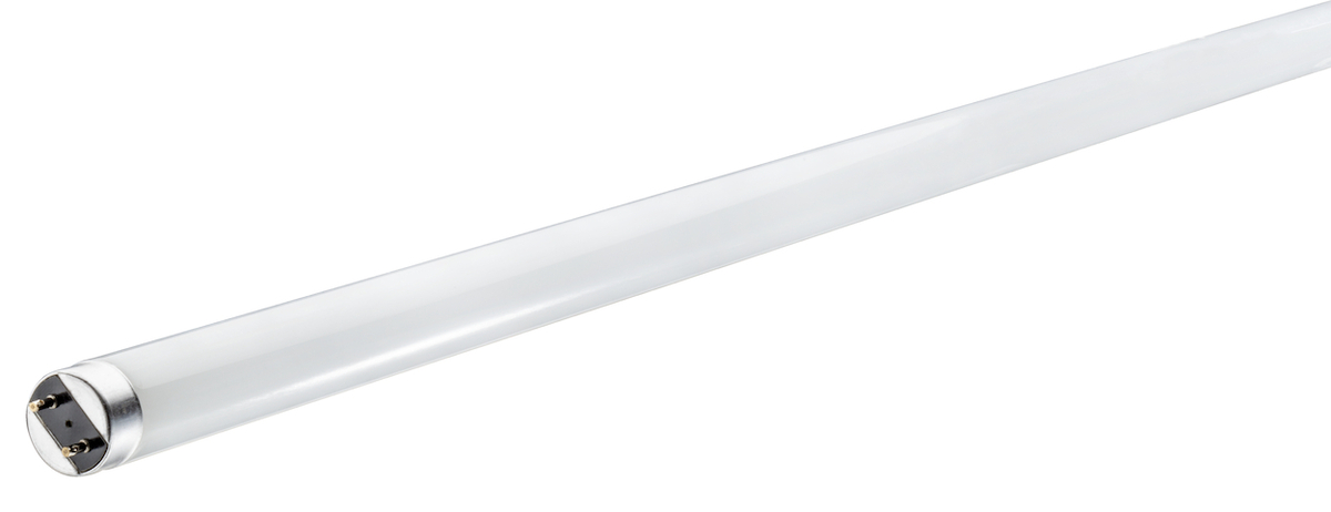 12PK 13W 48" LED T8 FROSTED GLASS 4000K